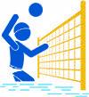 Water Volleyball Icon