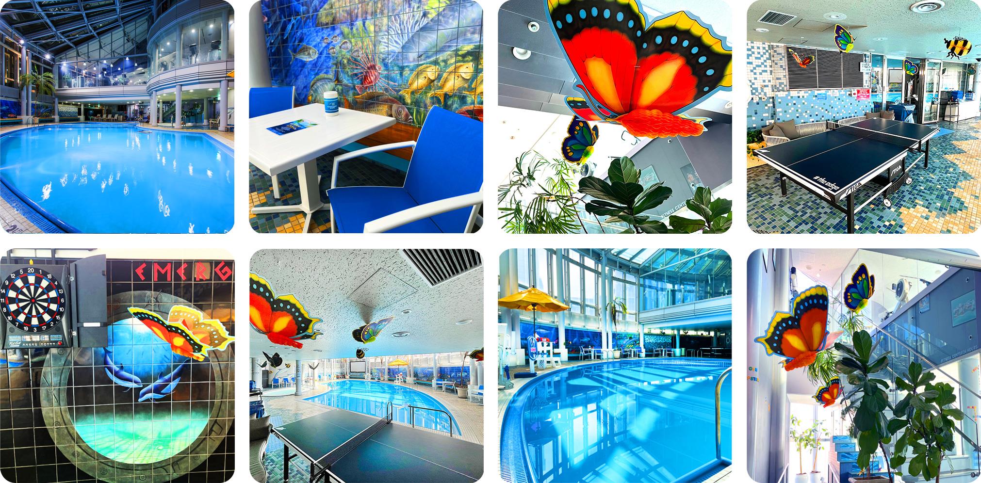 Pool Area