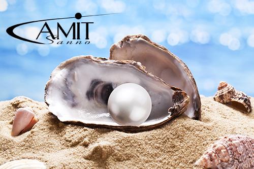 Amit Jewelry Shop