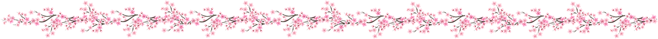sakura-line-3.png